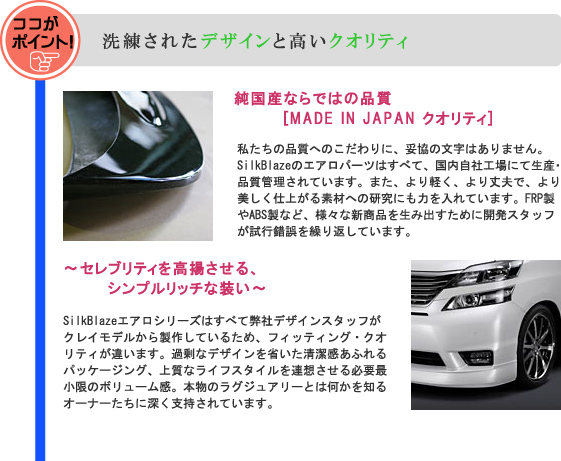 日産【デイズ ハイウェイスター B21W】SilkBlaze Lynx サイドステップ